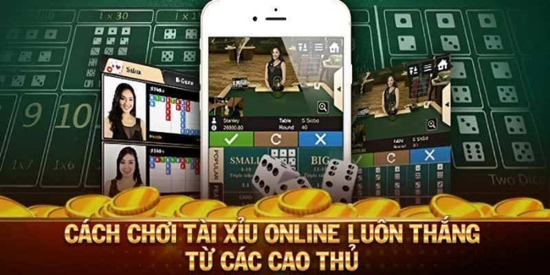 Cách Chơi Tài Xỉu - Bật Mí Chiến Lược Từ Các Cao Thủ Để Lại 1 cach-choi-tai-xiu-tong-quan (1)